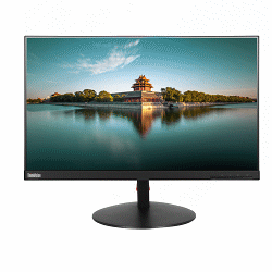 Lenovo ThinkVision T24i-10 24